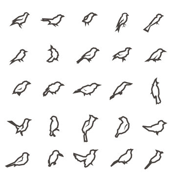 vector Bird icons, thin line style, flat design on white backgro