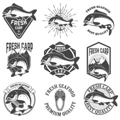 Set of the fresh carp labels, emblems and design elements. Carp