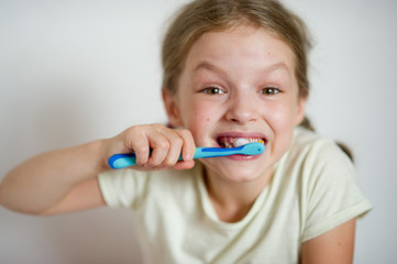 Cute little girl with pigtails diligently brushing his teeth.