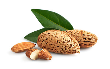 Almonds with leaves