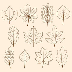 vector collection of autumn leaves 