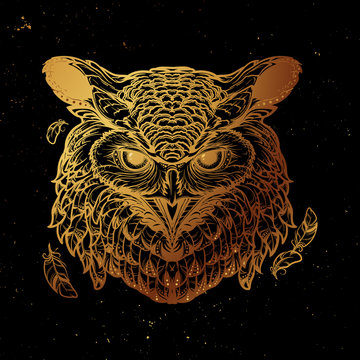 Golden owl sketch isolated on black background