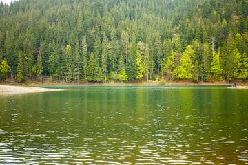 Beautiful lake and forest around it