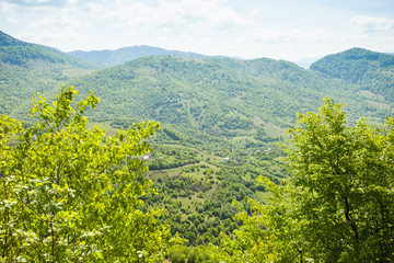 Wonderful scenery of green moutain