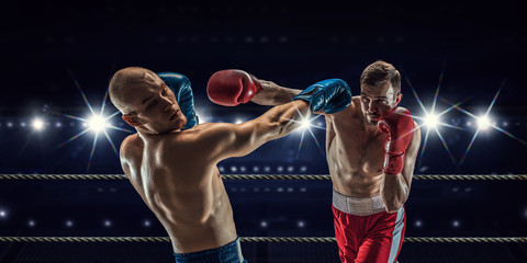 Professional box match . Mixed media