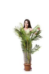 Woman taking care of plant isolated on white