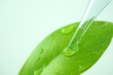 water drop from leaf and laboratory for natural chemistry concept- 117707699