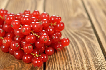 Fresh red currant