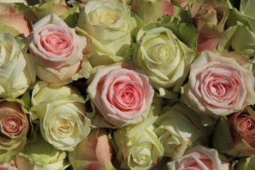 White and Pink roses in wedding arrangement