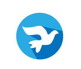 Dove illustration on white background