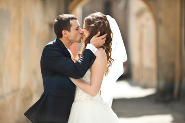 Groom holds bride's head kissing her in the alley