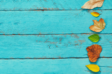 Autumn background with dry leaves on wooden table