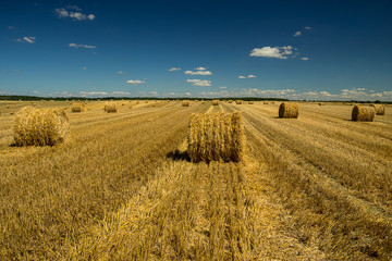 Golden hay-roll on meadow and blue sky