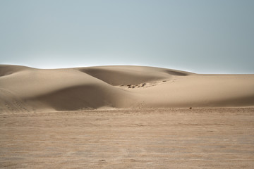 Fototapeta na wymiar Tunisia Desert sugar