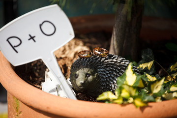 Fototapeta na wymiar Golden rings lie on the flowerpot over the wooden hedgehog