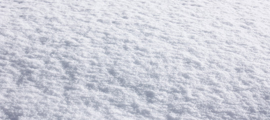 Neige