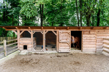 Fototapeta na wymiar Mini ZOO with home stables, barn horses and chicken.