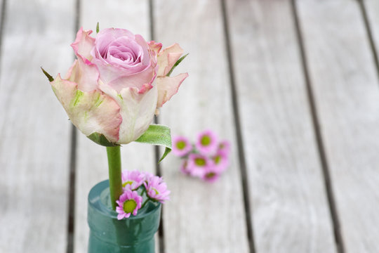 Pastel rose on a wooden table
