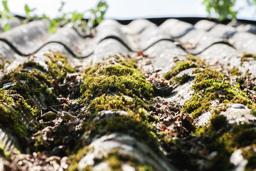Old slate roof with moss on it