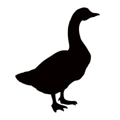 Goose. Vector drawing