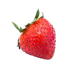 Single strawberry isolated on white background and clipping path