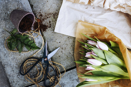 Directly above shot of tulip bouquet with scissors and pot on concrete floor