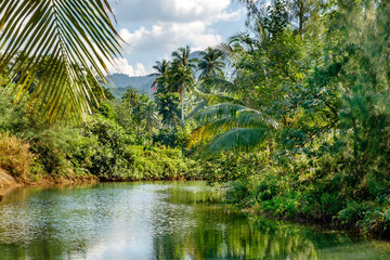Coconut palm trees and casuarinaceae trees growing along the small river, blue sky and bright tropics of Thailand