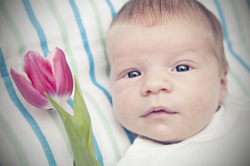 Baby mit Tulpe