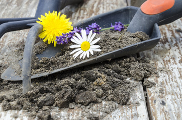 Gardening tools