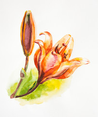 Watercolor painting of yellow lilies on a stalk.