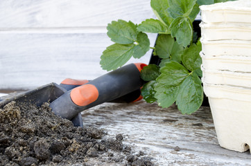 Gardening tools