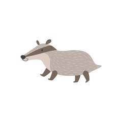 Grey Badger Walking