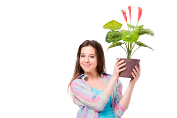 Young woman taking care of plants isolated on white