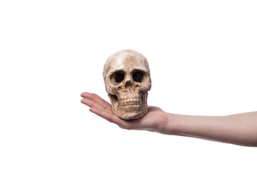 Hand holding skull isolated on white