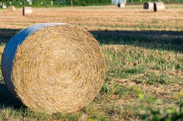 Hay Bales, Tuscany - Italy