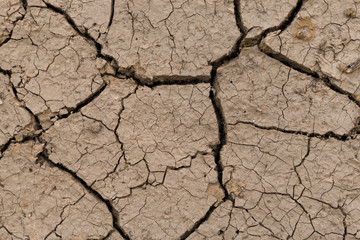 cracked earth
