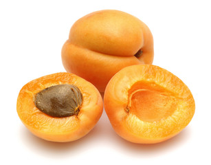 Apricot