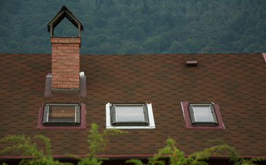 Roof with skylights and brick chimney over green forest