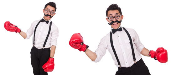 Funny boxer isolated on the white background