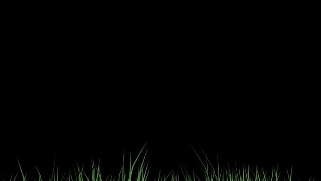 The camera is moving in the tall grass