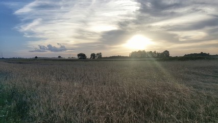 Zachód słońca, zboża © michalsen