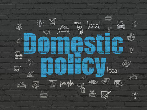 Politics concept: Domestic Policy on wall background