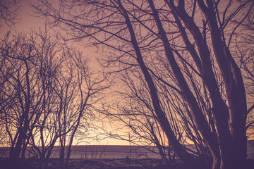 Obraz premium Countryside sunset with dark tree silhouettes