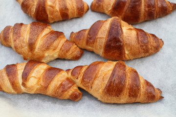 croissants 08082016