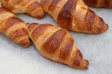 croissants 08082016