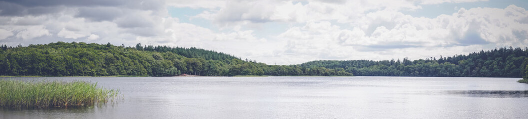 Lake scenery by a green forest