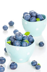 fresh bilberries in a bowl on white background