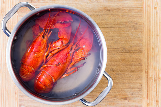 Two Red Lobsters In A Pot Of Boiling Water