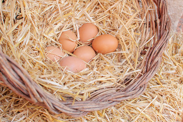 eggs in a wicker basket and straw