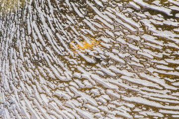 Sponge of water background